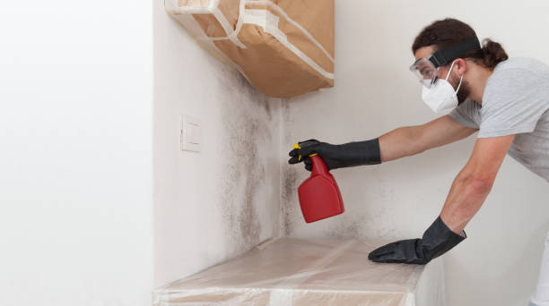 Professional Bathroom Mold Removal technician working in Little Falls, NY