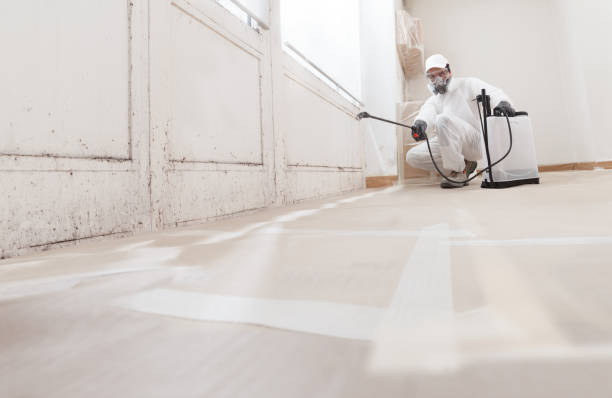 24/7 Emergency Bathroom Mold Removal experts in Little Falls, NY